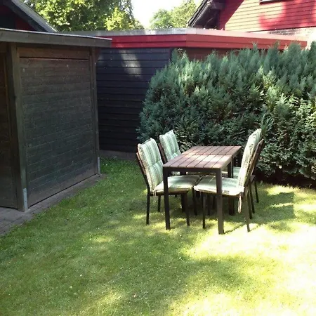 Spazz 1 In Apartment *